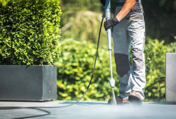 Best Driveway Pressure Washing  in Valley Park, MO