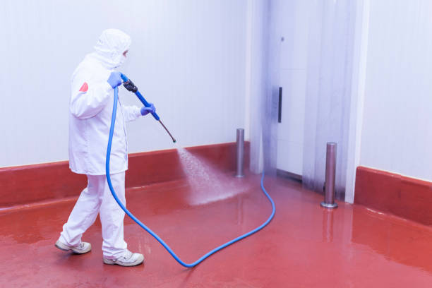 Best Post-Construction Pressure Washing  in Valley Park, MO